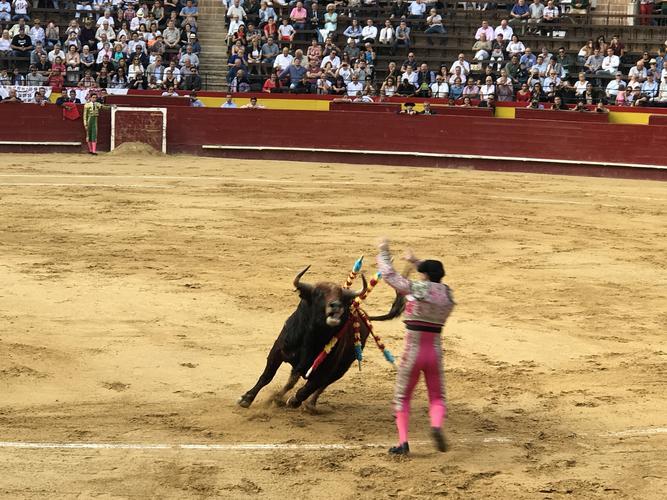 民族传统斗牛竞技盛典，文化与体育的完美碰撞的简单介绍